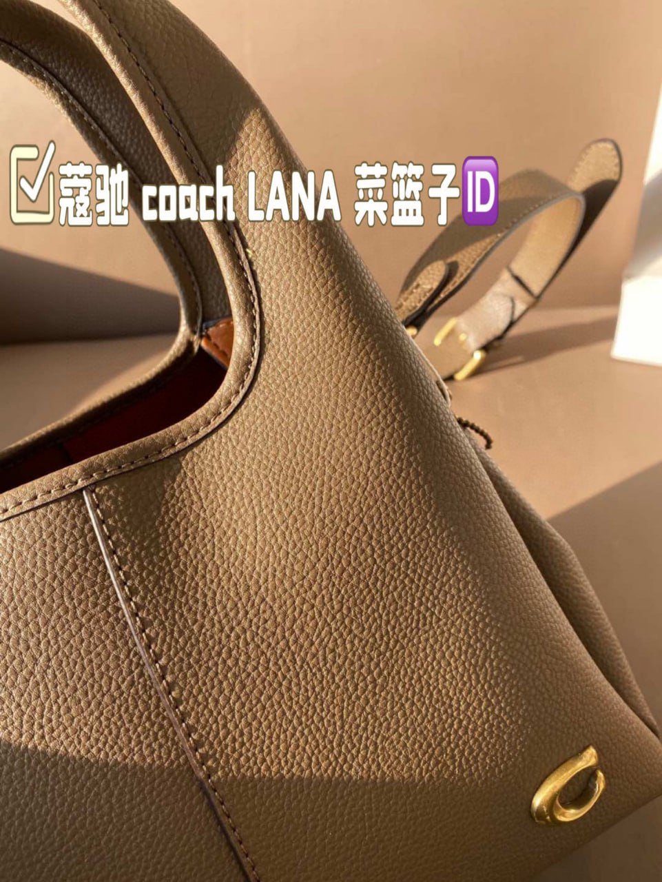 COACH bag high quality