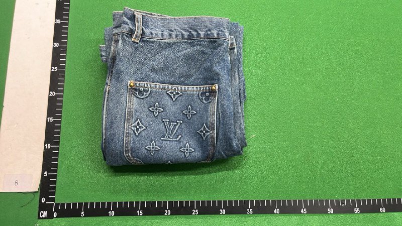 Louis Vuitton Pants 