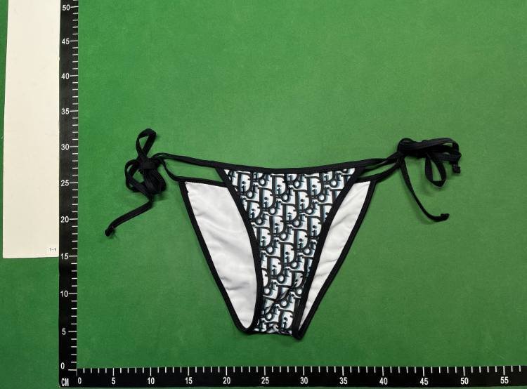 Dior Bikini