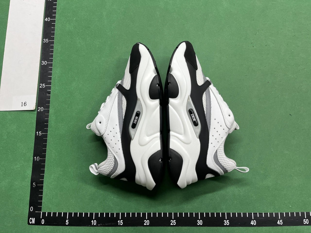 DIOR shoes b22 and b30