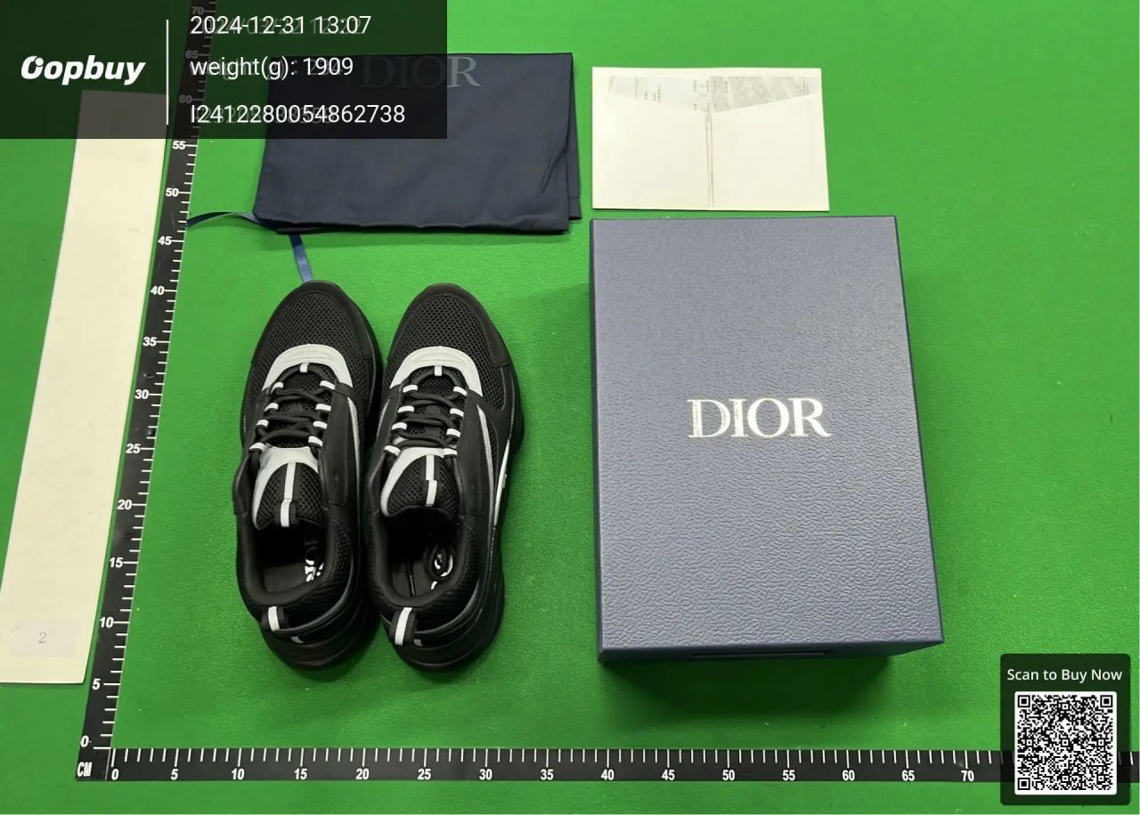Dior B22 Shoes(30+) 
