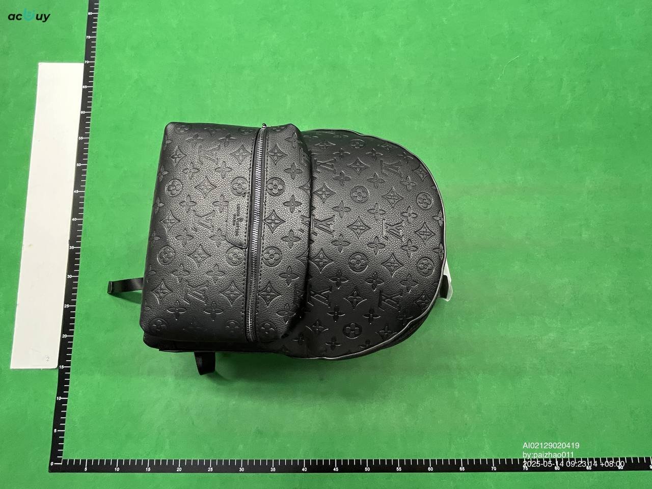 LV Backpack
