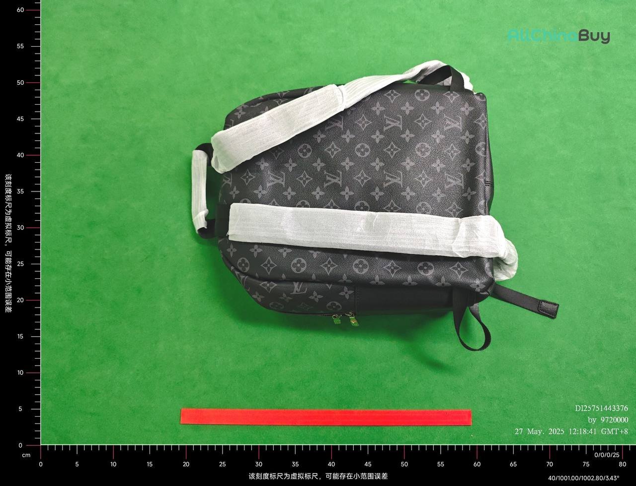 LV Backpack