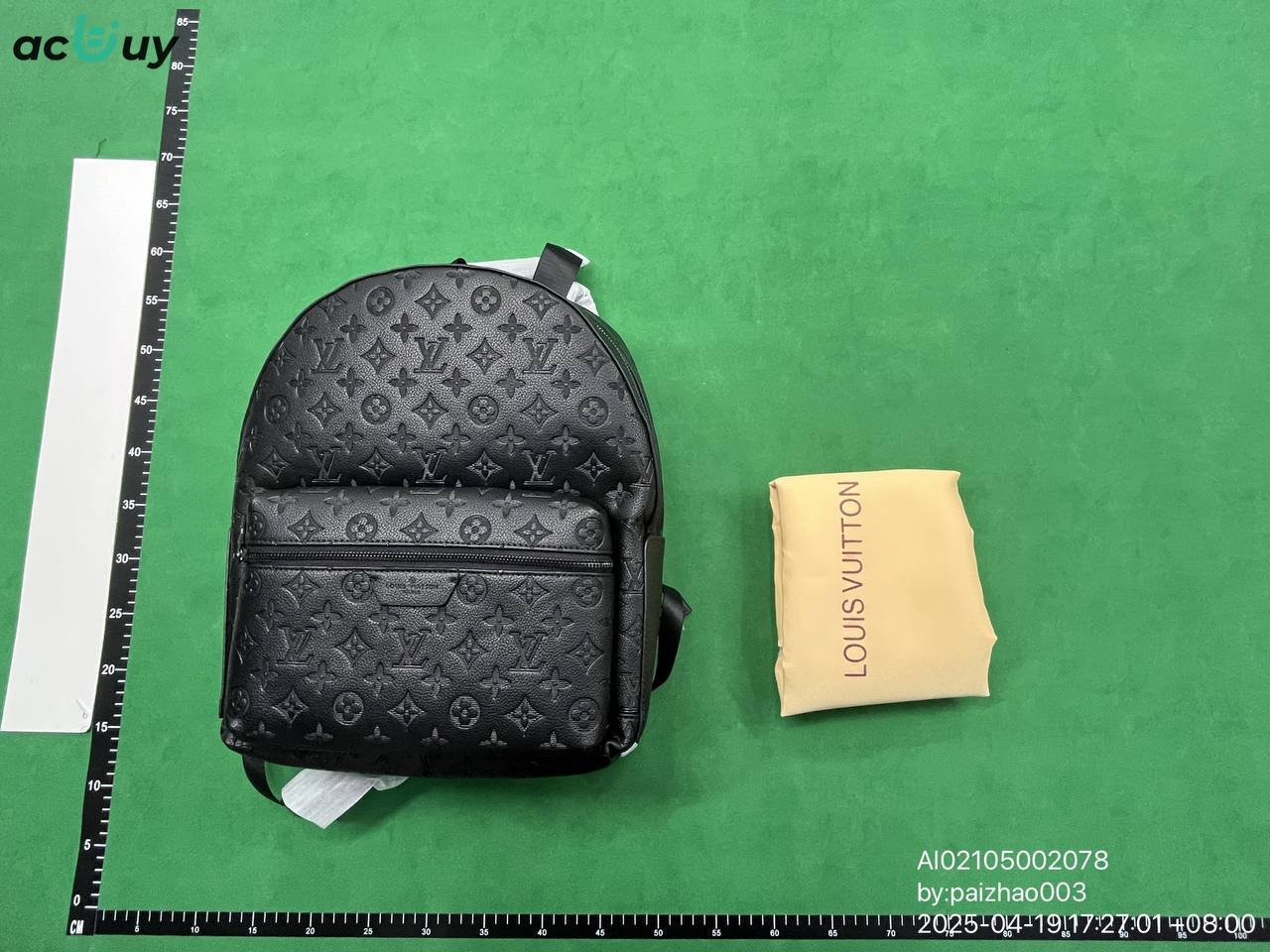 LV Backpack