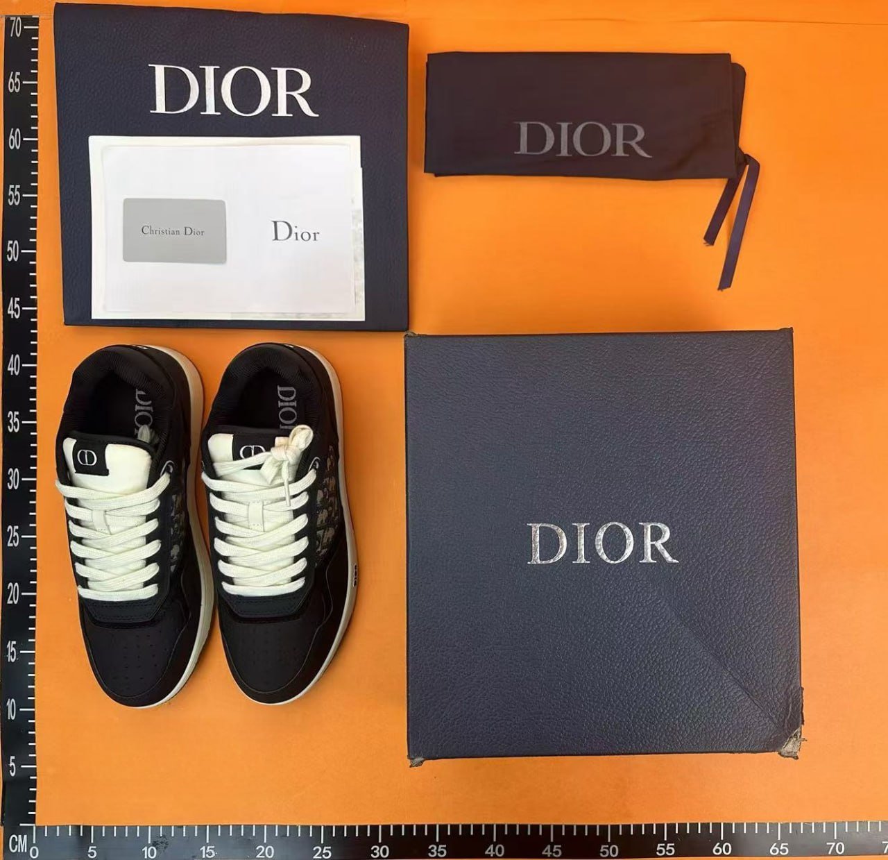 DIOR B27