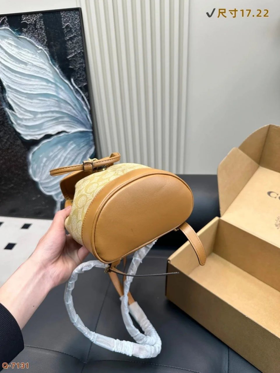 coach Backpack 1：1 high quality