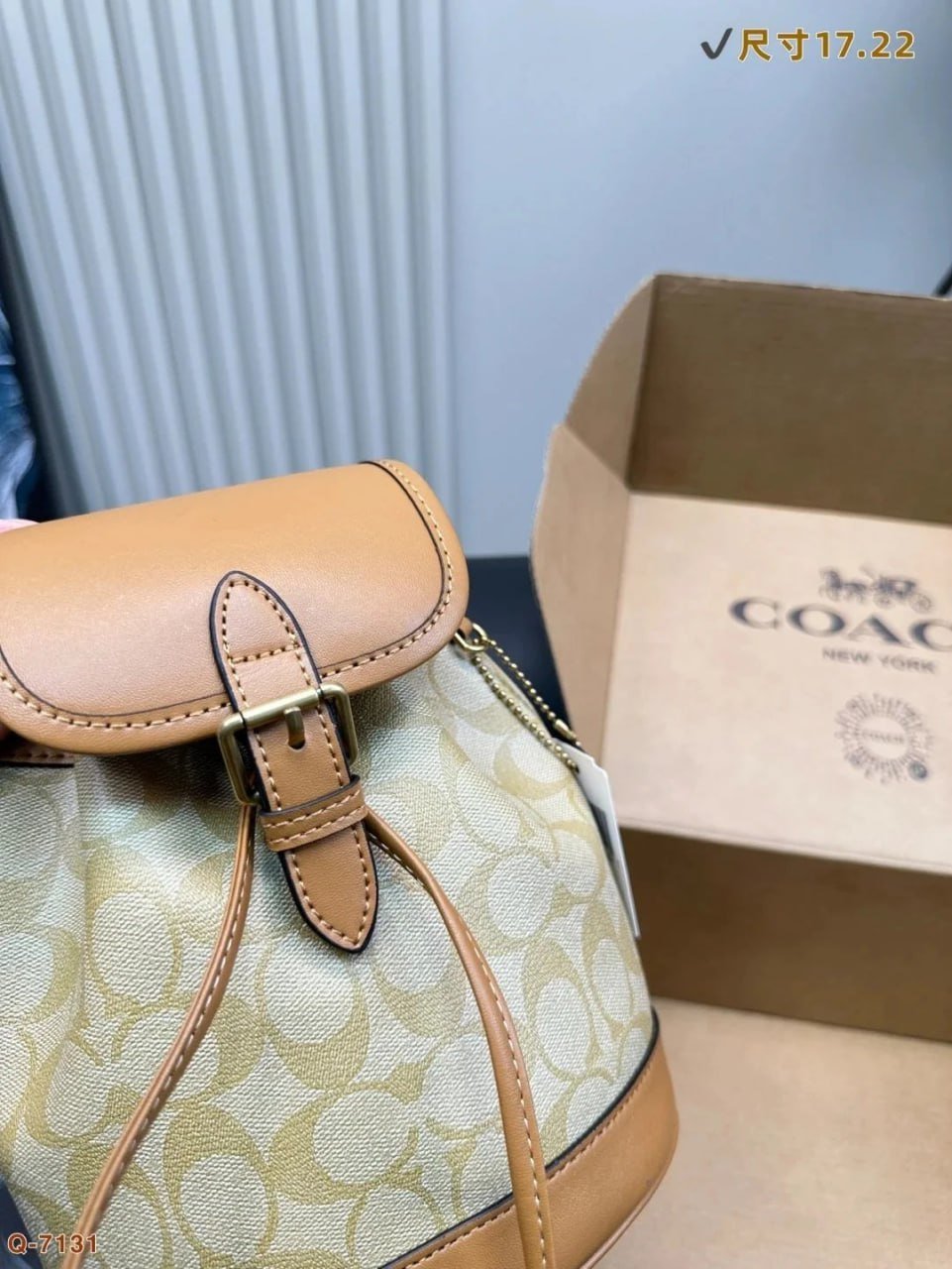 coach Backpack 1：1 high quality