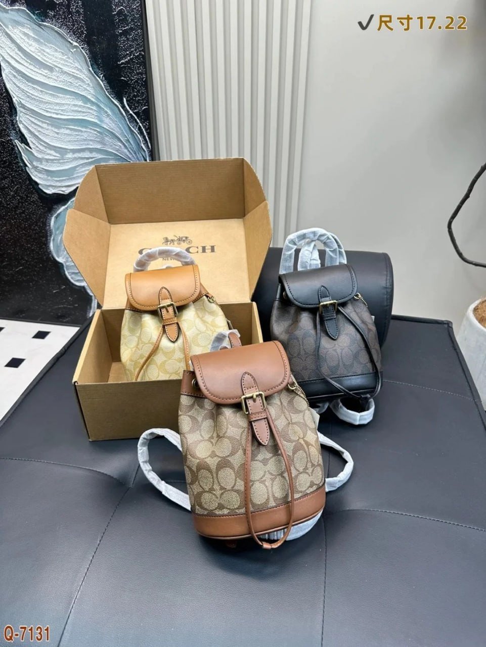 coach Backpack 1：1 high quality