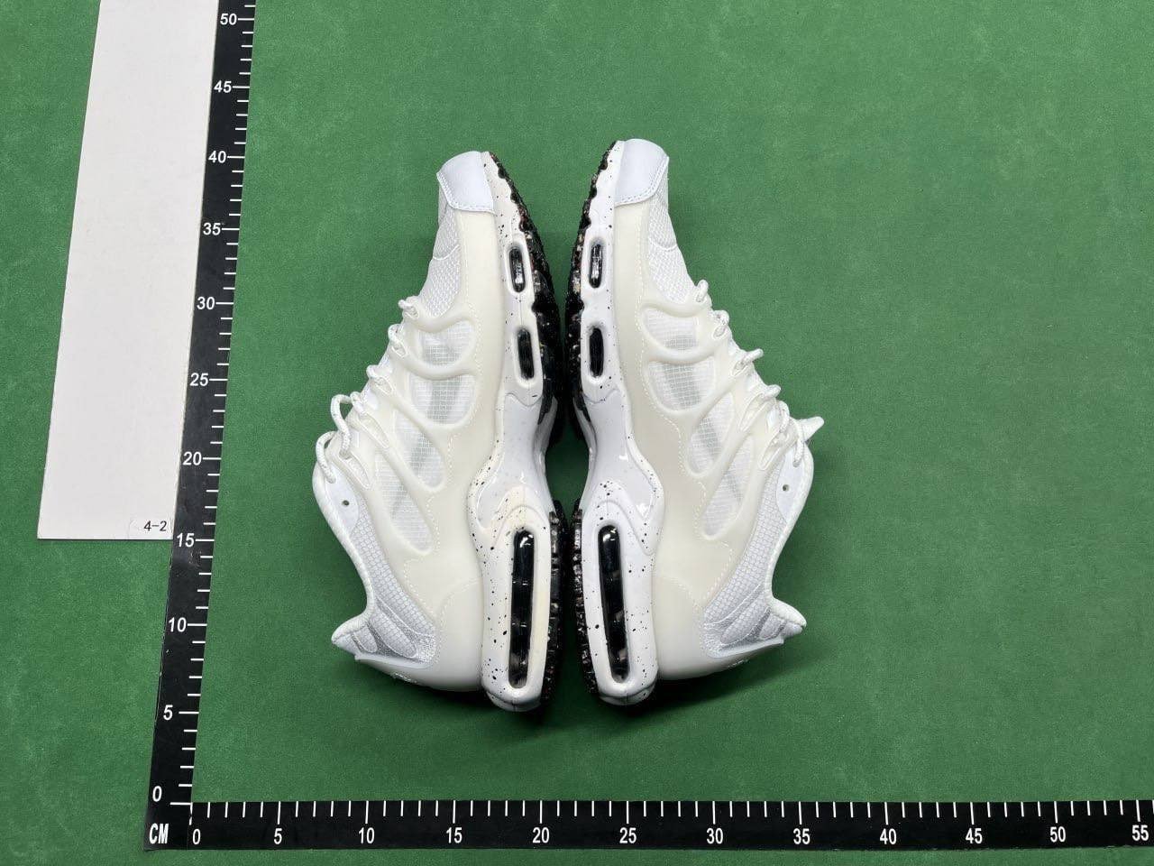 Nike Air Max Plus TN Shoe 