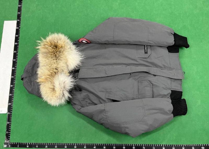 Canada Goose Down