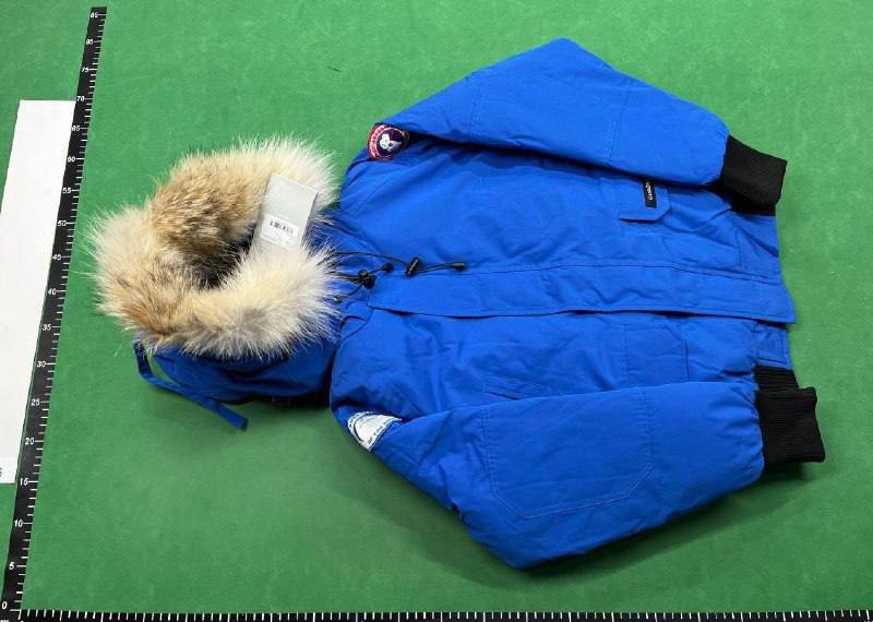 Canada Goose Down