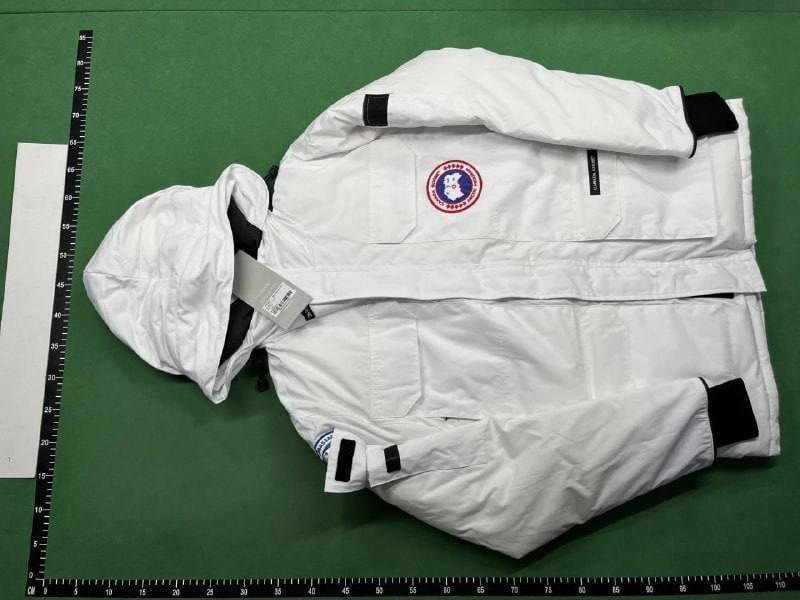 Canada Goose Down