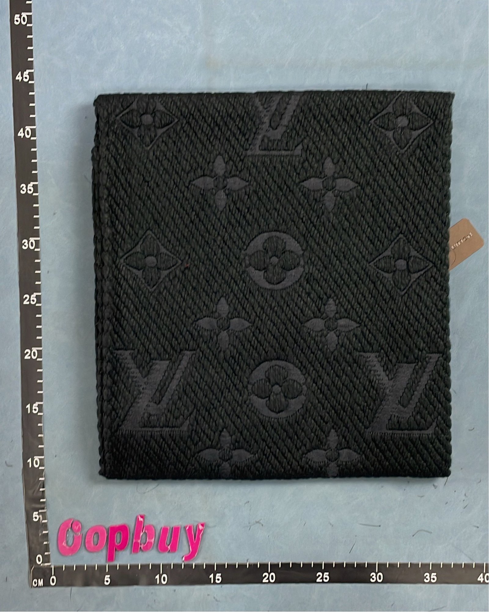  Louis Vuitton Monogram Shawl Scarf with Tassels [2 styles]