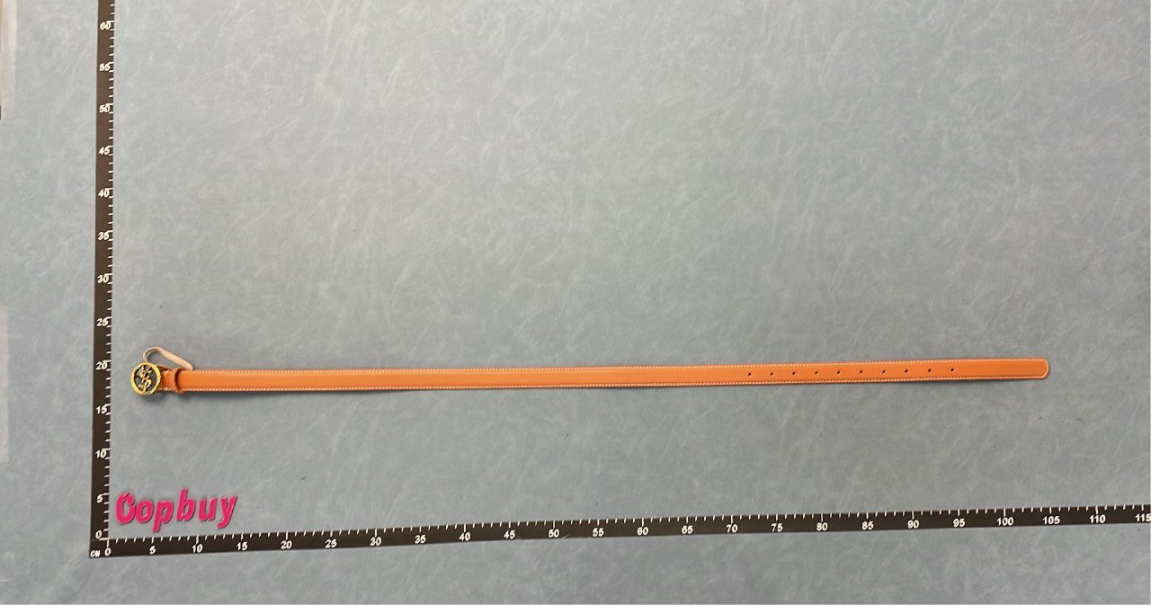 YSL Classic Leather Belt with Double Ring Buckle [8 styles]