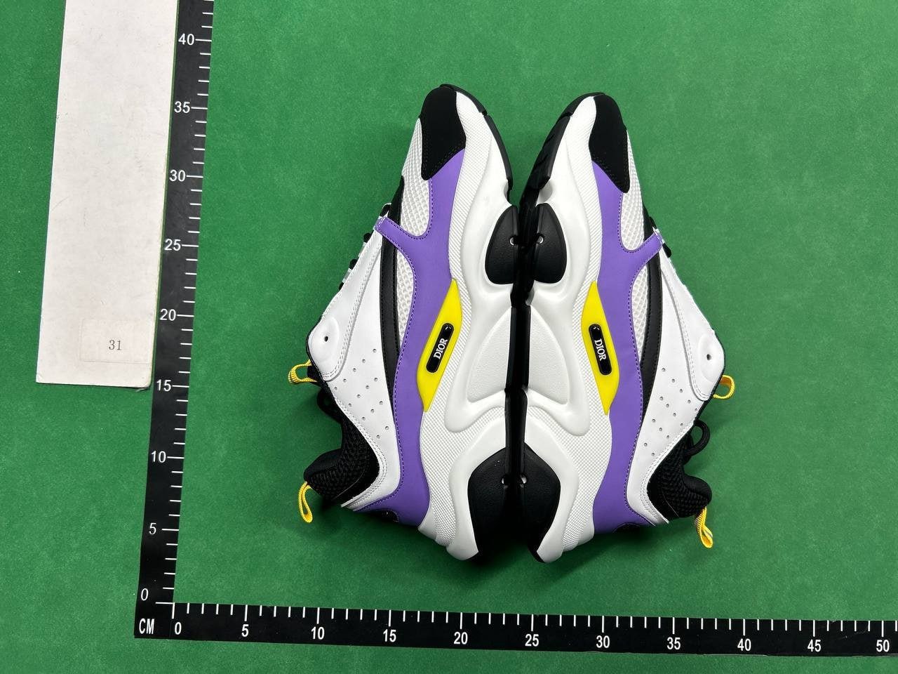  Dior B22 B23 B25 Shoes 