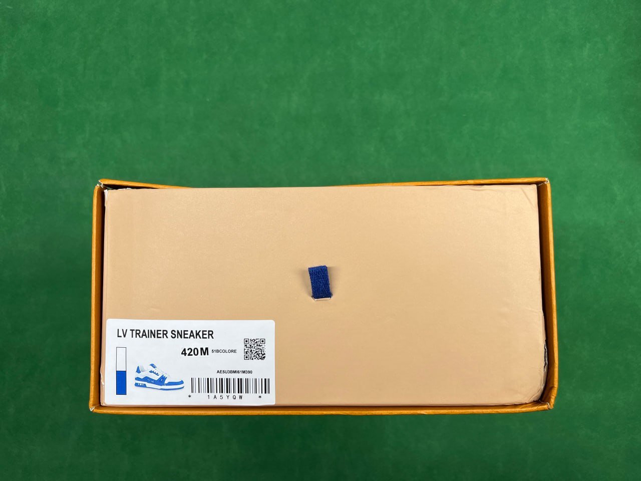 Louis Vuitton Trainer Sneakers [29 styles]