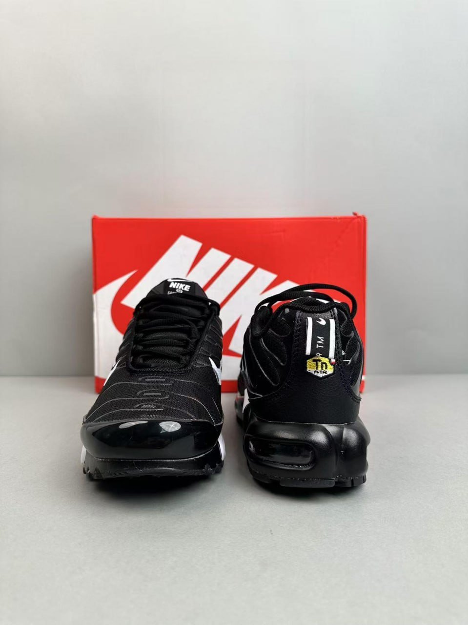 Nike Air Max Plus                                