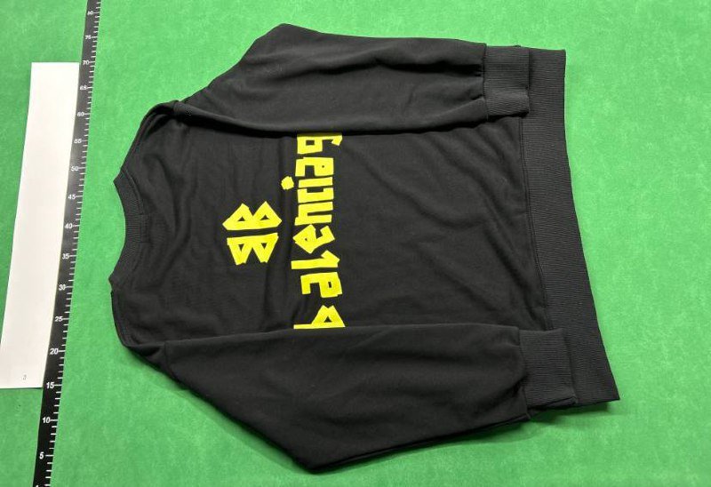 Balenciaga sweatshirt                                