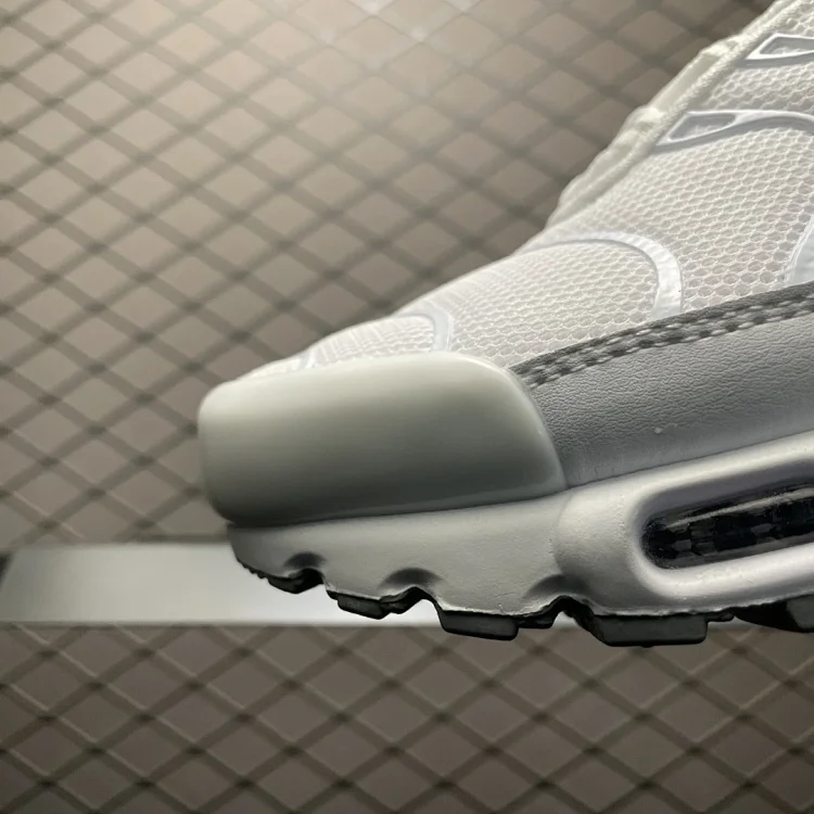Air Max Plus TN Retr